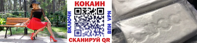 цена   Железногорск-Илимский  COCAIN Fish Scale 