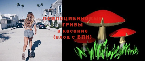 а пвп мука Верхний Тагил