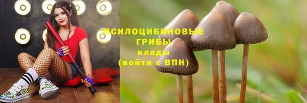 дживик Володарск