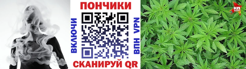 МАРИХУАНА SATIVA & INDICA  продажа наркотиков  Железногорск-Илимский 